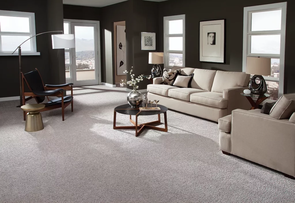 Living room carpet flooring | Carpet To Go